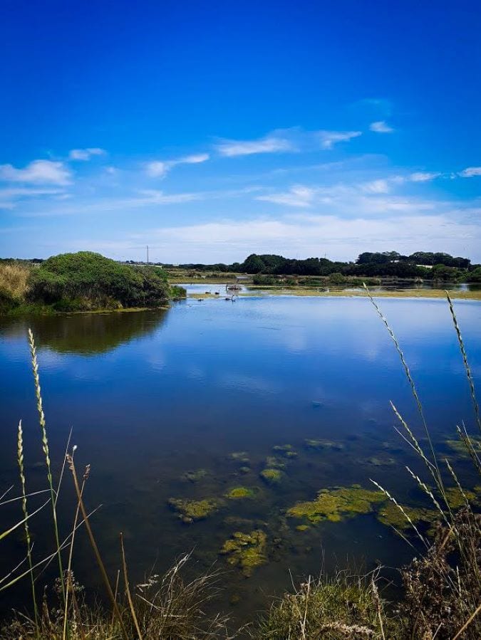 Philip Island 