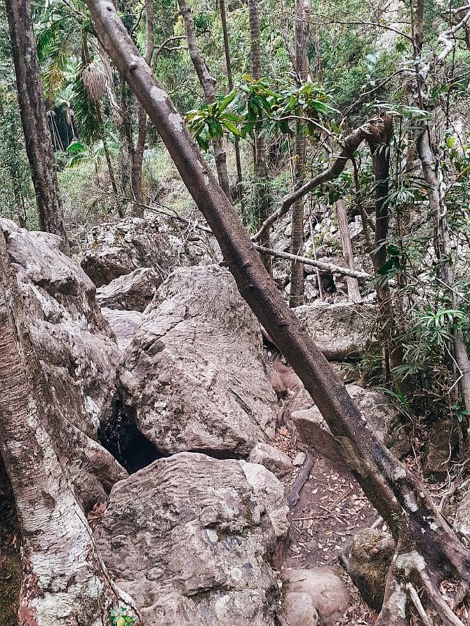 Byron Bay Adventure tour Minyon Falls walk 