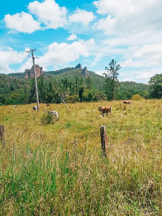 Things to do in Nimbin