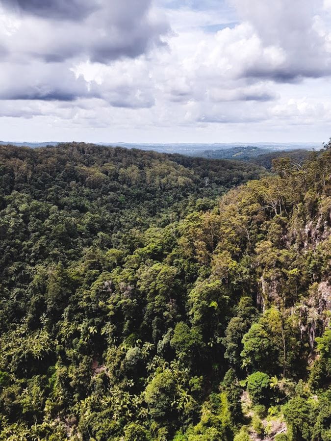 View from Minyon Falls 