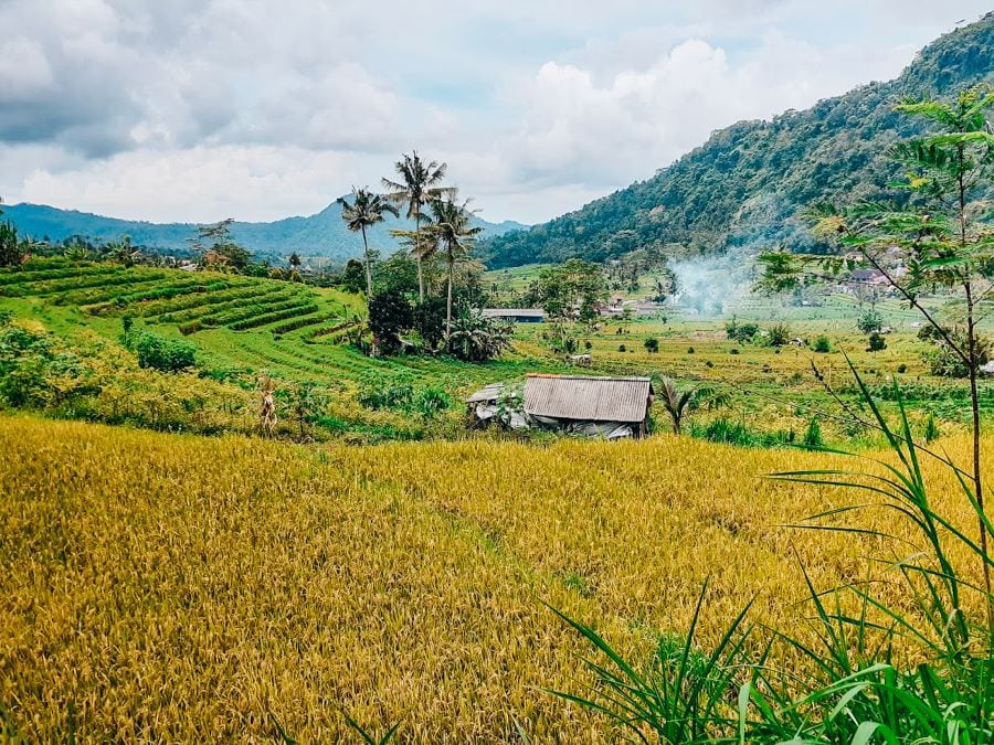 Sidemen village bali