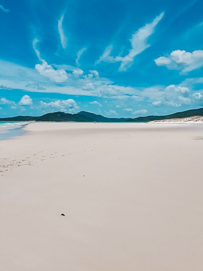 Red Cat Adventures Airlie Beach