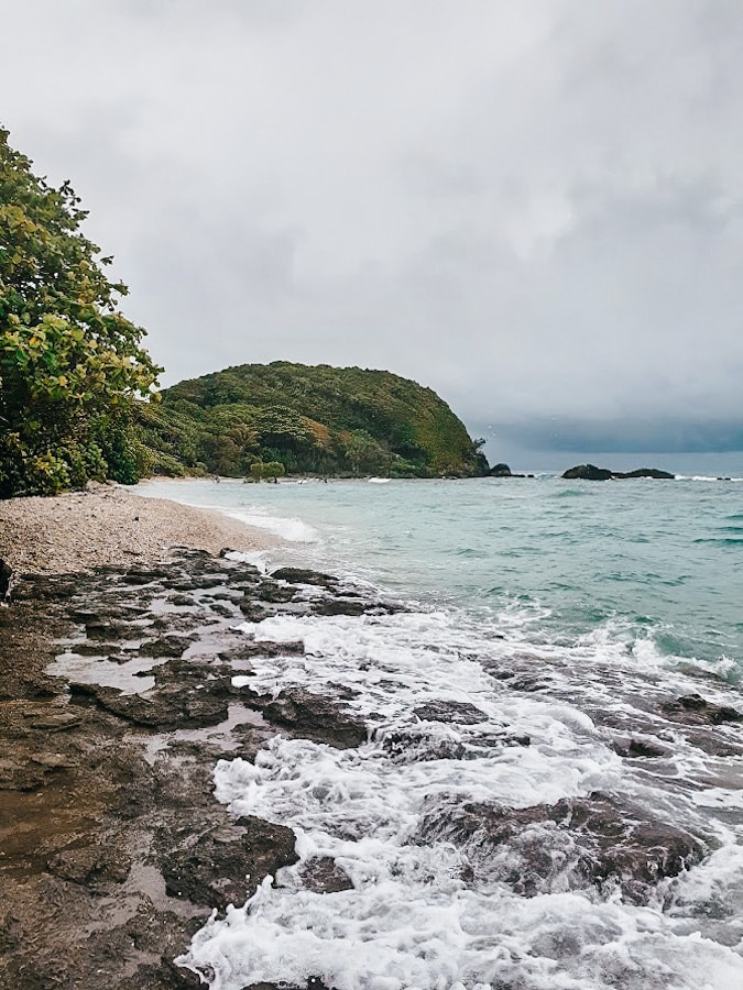 Frankland Islands Day trip