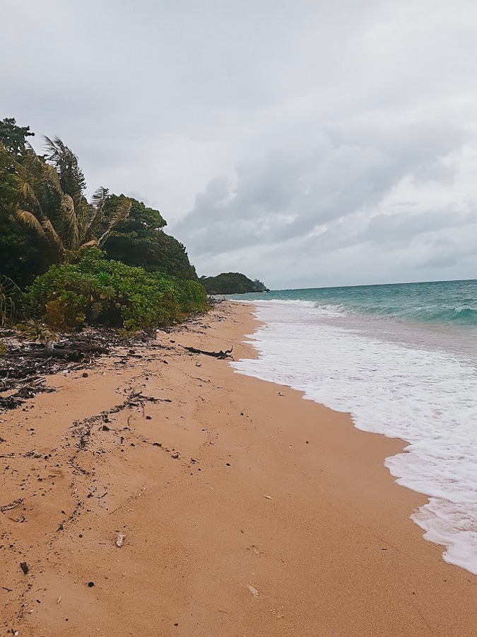 Frankland islands nature